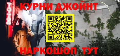 шишки Лесосибирск