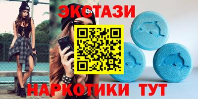 шишки Лесосибирск