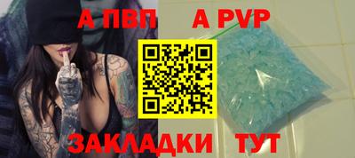 шишки Лесосибирск
