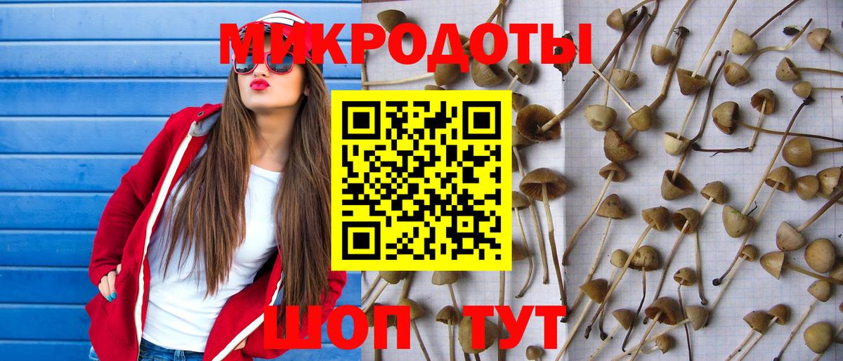Псилоцибиновые грибы Psilocybine cubensis  Вход с VPN  Каменск-Уральский  Галлюциногенные грибы MAGIC MUSHROOMS 